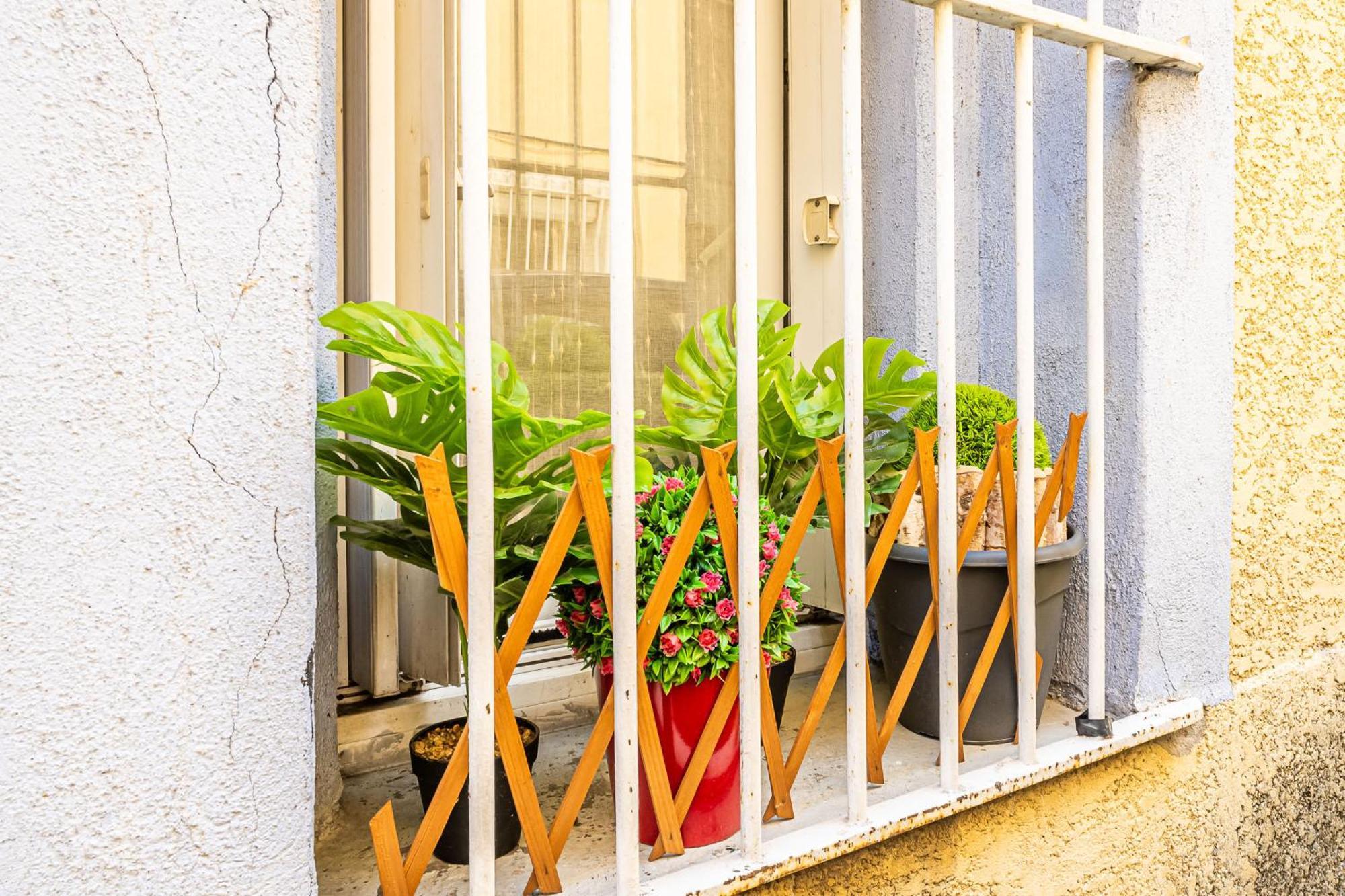Le Cocon Urbain Daire Narbonne Dış mekan fotoğraf