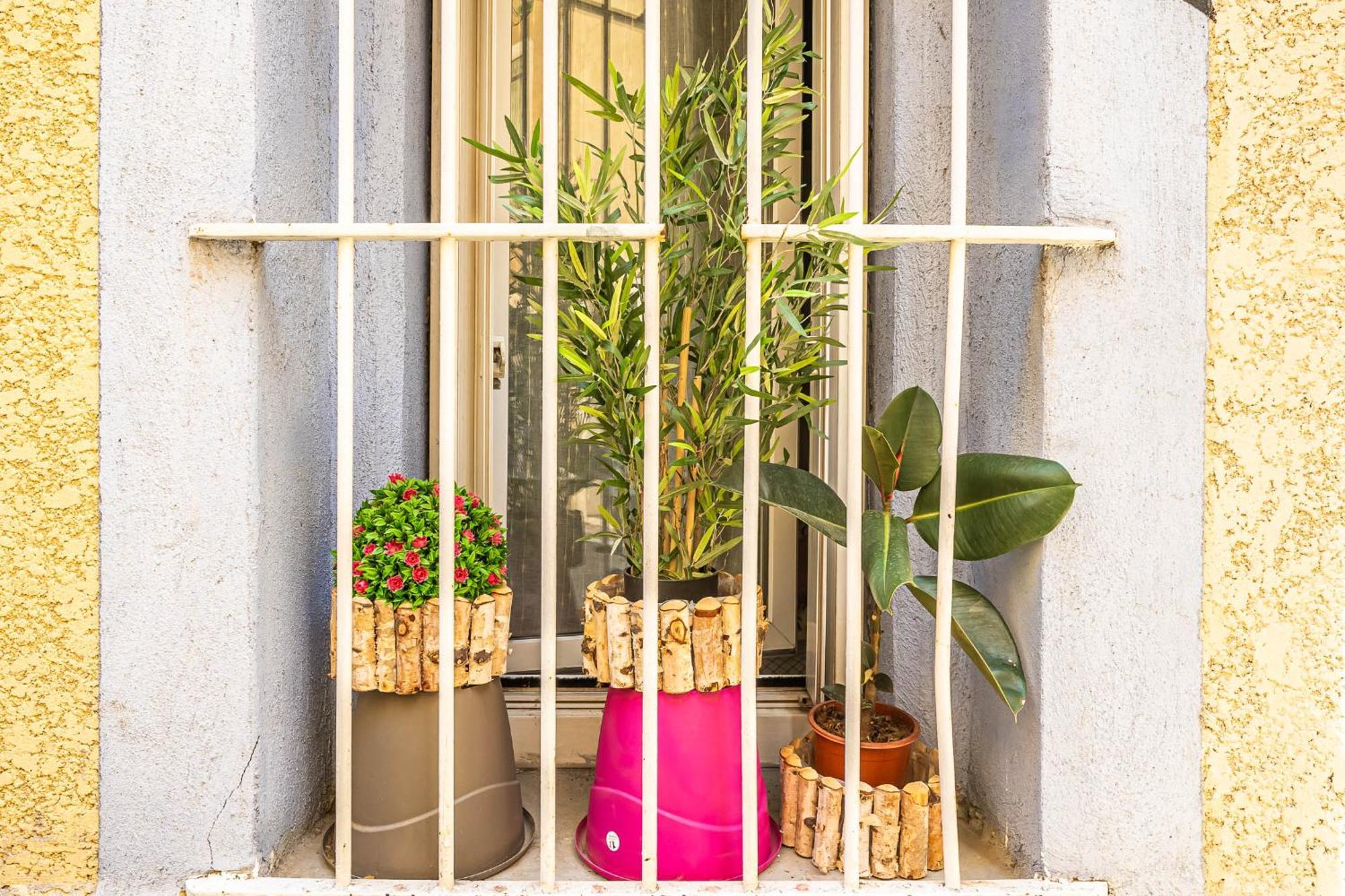 Le Cocon Urbain Daire Narbonne Dış mekan fotoğraf
